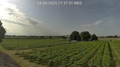 immagine della webcam nei dintorni di Casal Borsetti: webcam Bagnacavallo
