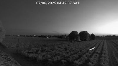 immagine della webcam nei dintorni di Lido Adriano: webcam Bagnacavallo