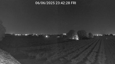 immagine della webcam nei dintorni di Casal Borsetti: webcam Bagnacavallo