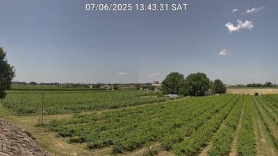 immagine della webcam nei dintorni di Porto Garibaldi: webcam Bagnacavallo