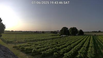 immagine della webcam nei dintorni di Lido Adriano: webcam Bagnacavallo