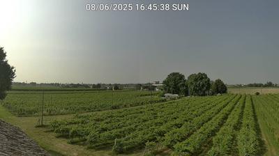 immagine della webcam nei dintorni di Riolo Terme: webcam Bagnacavallo