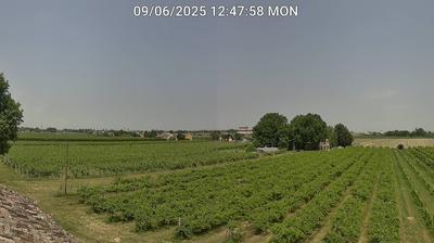 immagine della webcam nei dintorni di Voltana: webcam Bagnacavallo