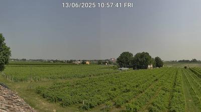 immagine della webcam nei dintorni di Marina Romea: webcam Bagnacavallo
