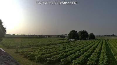 immagine della webcam nei dintorni di Ravenna: webcam Bagnacavallo