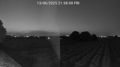 immagine della webcam nei dintorni di Marina Romea: webcam Bagnacavallo