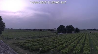 immagine della webcam nei dintorni di Marina Romea: webcam Bagnacavallo