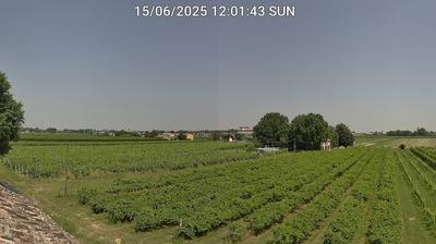 immagine della webcam nei dintorni di Cotignola: webcam Bagnacavallo