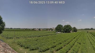 immagine della webcam nei dintorni di Lugo: webcam Bagnacavallo