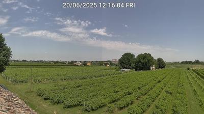 immagine della webcam nei dintorni di Riolo Terme: webcam Bagnacavallo