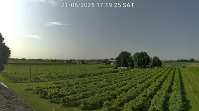 immagine della webcam nei dintorni di Porto Garibaldi: webcam Bagnacavallo
