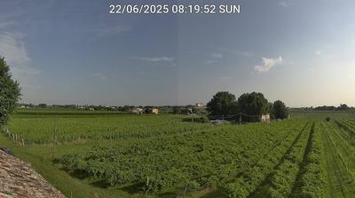 immagine della webcam nei dintorni di Bagnara di Romagna: webcam Bagnacavallo
