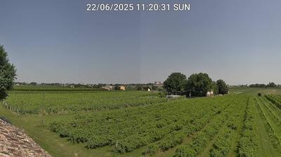 immagine della webcam nei dintorni di Ravenna: webcam Bagnacavallo