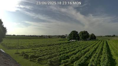 immagine della webcam nei dintorni di Punta Marina: webcam Bagnacavallo
