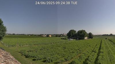 immagine della webcam nei dintorni di Alfonsine: webcam Bagnacavallo