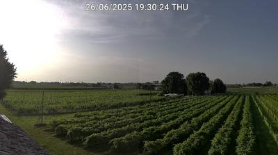 immagine della webcam nei dintorni di Marina di Ravenna: webcam Bagnacavallo