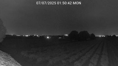 immagine della webcam nei dintorni di Punta Marina: webcam Bagnacavallo