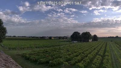 Preview delle webcam di Bagnacavallo
