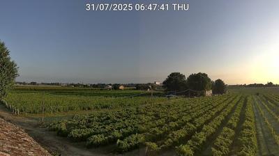 immagine della webcam nei dintorni di Faenza: webcam Bagnacavallo