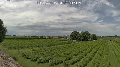 immagine della webcam nei dintorni di Riolo Terme: webcam Bagnacavallo
