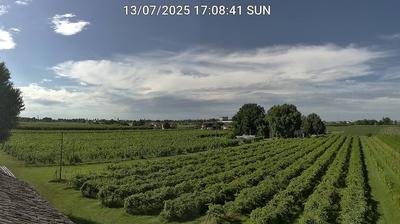immagine della webcam nei dintorni di Forli' Ridolfi: webcam Bagnacavallo