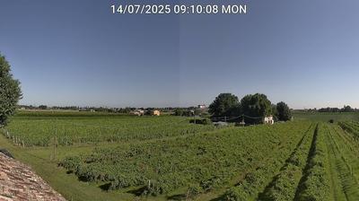 immagine della webcam nei dintorni di Forli' Ridolfi: webcam Bagnacavallo
