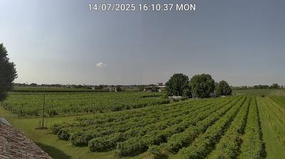 immagine della webcam nei dintorni di Ravenna: webcam Bagnacavallo