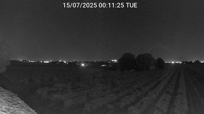 immagine della webcam nei dintorni di Porto Corsini: webcam Bagnacavallo