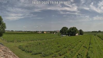 immagine della webcam nei dintorni di Forlì: webcam Bagnacavallo