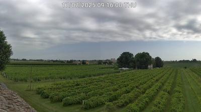 immagine della webcam nei dintorni di Punta Marina: webcam Bagnacavallo