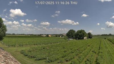 Preview delle webcam di Bagnacavallo
