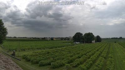 immagine della webcam nei dintorni di Porto Garibaldi: webcam Bagnacavallo