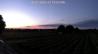 immagine della webcam nei dintorni di Medicina: webcam Bagnacavallo