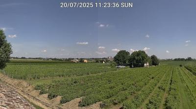 immagine della webcam nei dintorni di Ravenna: webcam Bagnacavallo