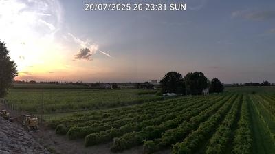 immagine della webcam nei dintorni di Villafranca di Forlì: webcam Bagnacavallo