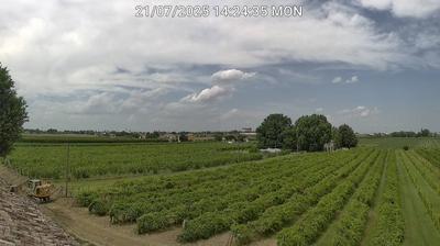 immagine della webcam nei dintorni di Lido Adriano: webcam Bagnacavallo
