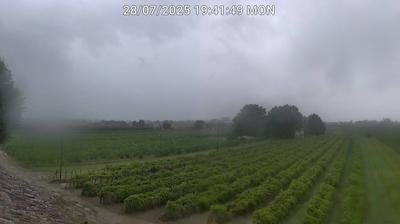 immagine della webcam nei dintorni di Cotignola: webcam Bagnacavallo