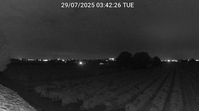 immagine della webcam nei dintorni di Marina Romea: webcam Bagnacavallo