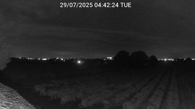 immagine della webcam nei dintorni di Marina Romea: webcam Bagnacavallo