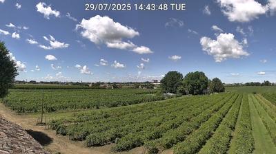 immagine della webcam nei dintorni di Forlì: webcam Bagnacavallo
