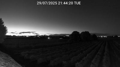 Preview delle webcam di Bagnacavallo