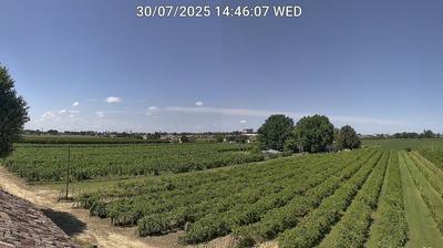 immagine della webcam nei dintorni di Porto Corsini: webcam Bagnacavallo