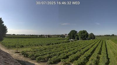 immagine della webcam nei dintorni di Argenta: webcam Bagnacavallo