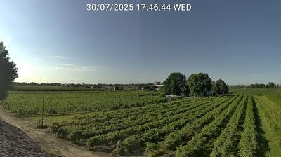 immagine della webcam nei dintorni di Porto Corsini: webcam Bagnacavallo