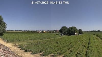 immagine della webcam nei dintorni di Forlì: webcam Bagnacavallo