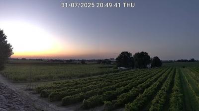 immagine della webcam nei dintorni di Forlì: webcam Bagnacavallo