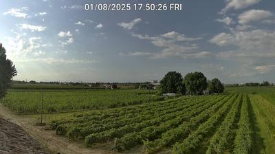 immagine della webcam nei dintorni di Modigliana: webcam Bagnacavallo