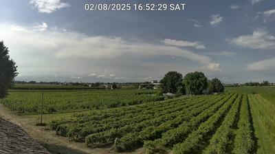 immagine della webcam nei dintorni di Marina di Ravenna: webcam Bagnacavallo