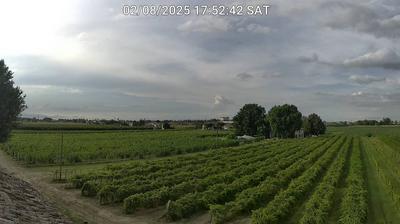 immagine della webcam nei dintorni di Casal Borsetti: webcam Bagnacavallo