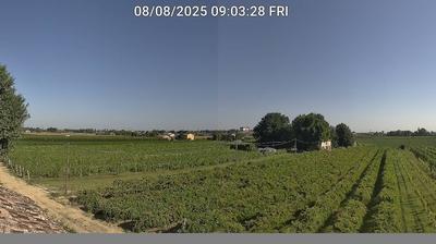 immagine della webcam nei dintorni di Punta Marina: webcam Bagnacavallo